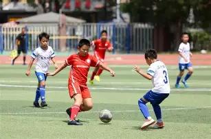 意外突发,哈兰德遭裁,判撞击,开云体育,开云体育官网,开云体育app,开云体育平台,KAIYUN,SPORTS,kaiyun登录入口