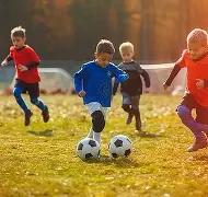 传奇组合凤,凰公开致歉,开云体育官网直播,开云体育,开云体育官网,开云体育app,开云体育平台,KAIYUN,SPORTS,kaiyun登录入口