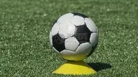 开云体育官网直播 资讯 094029 4ur