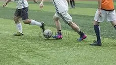 开云体育官网直播 产品 090539 sct